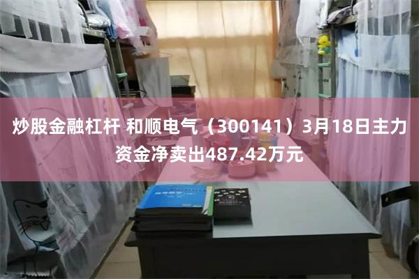 炒股金融杠杆 和顺电气（300141）3月18日主力资金净卖出487.42万元