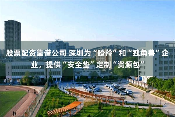 股票配资靠谱公司 深圳为“瞪羚”和“独角兽”企业，提供“安全垫”定制“资源包”