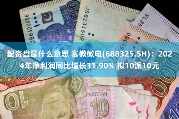 配资盘是什么意思 赛微微电(688325.SH)：2024年净利润同比增长31.90% 拟10派10元