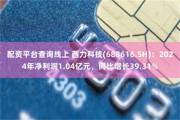 配资平台查询线上 西力科技(688616.SH)：2024年净利润1.04亿元，同比增长39.31%