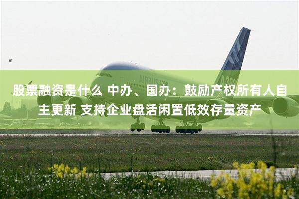 股票融资是什么 中办、国办：鼓励产权所有人自主更新 支持企业盘活闲置低效存量资产