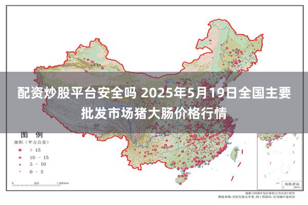 配资炒股平台安全吗 2025年5月19日全国主要批发市场猪大肠价格行情