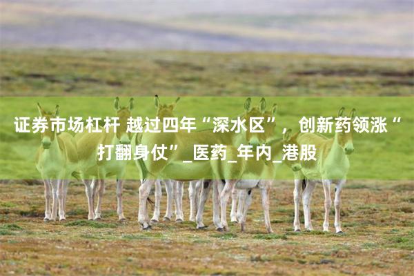 证券市场杠杆 越过四年“深水区”，创新药领涨“打翻身仗”_医药_年内_港股