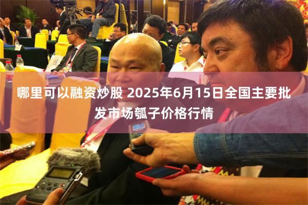 哪里可以融资炒股 2025年6月15日全国主要批发市场瓠子价格行情