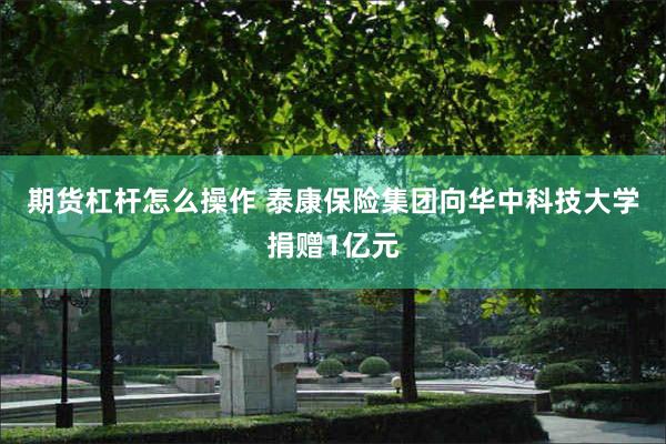 期货杠杆怎么操作 泰康保险集团向华中科技大学捐赠1亿元