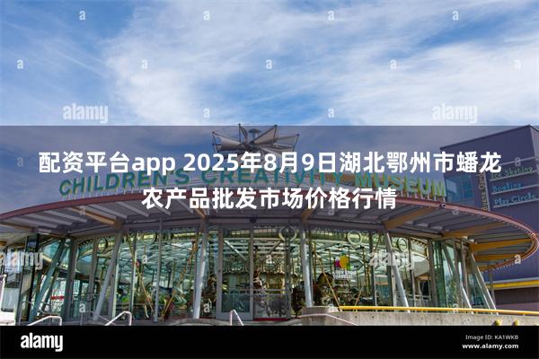 配资平台app 2025年8月9日湖北鄂州市蟠龙农产品批发市场价格行情