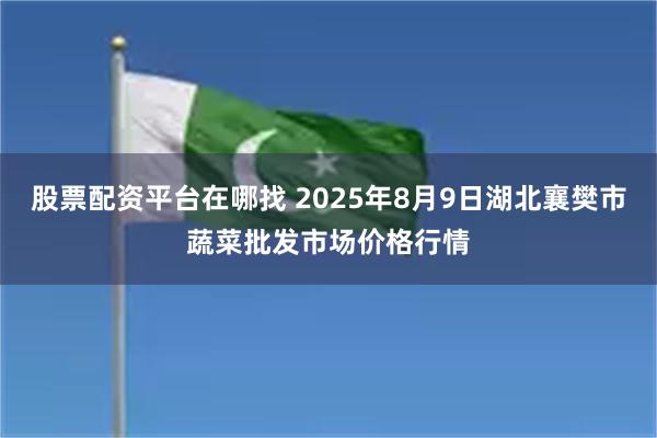 股票配资平台在哪找 2025年8月9日湖北襄樊市蔬菜批发市场价格行情