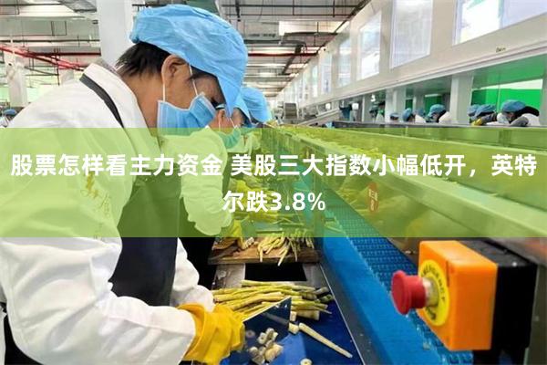 股票怎样看主力资金 美股三大指数小幅低开，英特尔跌3.8%
